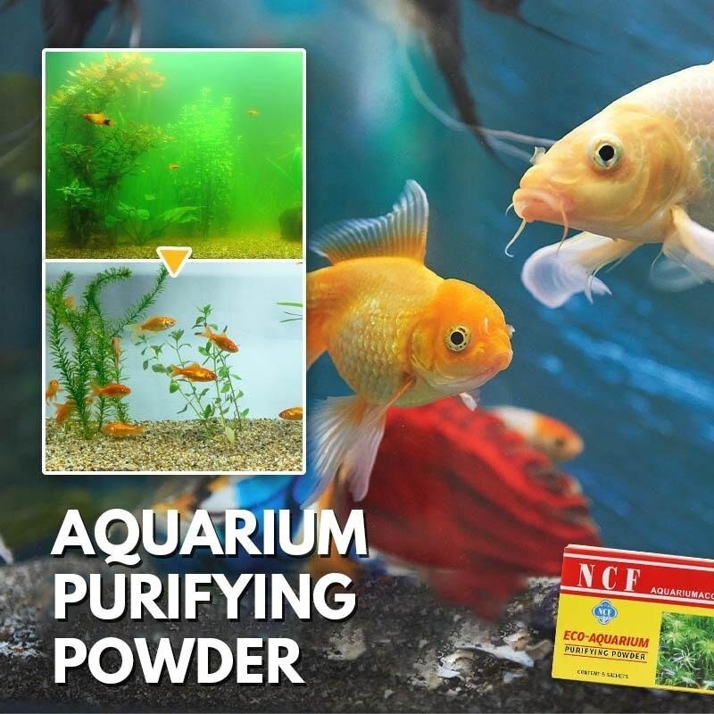 Aqua Purifying Powder